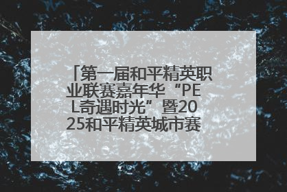 第一届和平精英职业联赛嘉年华“PEL奇遇时光”暨2025和平精英城市赛总决赛盛大启幕
