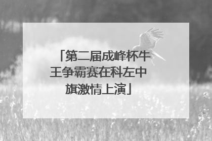 第二届成峰杯牛王争霸赛在科左中旗激情上演