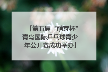 第五届“萌芽杯”青岛国际乒乓球青少年公开赛成功举办