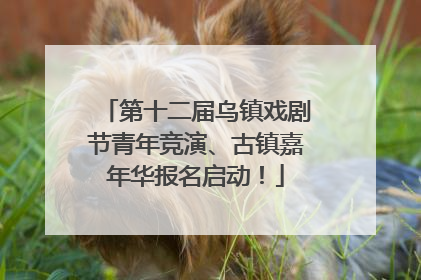第十二届乌镇戏剧节青年竞演、古镇嘉年华报名启动！