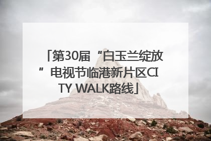 第30届“白玉兰绽放”电视节临港新片区CITY WALK路线