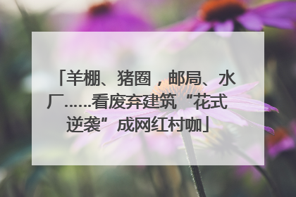 羊棚、猪圈，邮局、水厂……看废弃建筑“花式逆袭”成网红村咖
