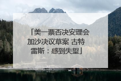 美一票否决安理会加沙决议草案 古特雷斯：感到失望