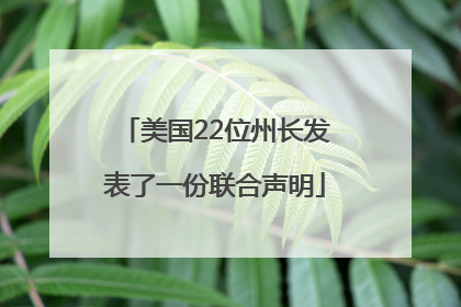 美国22位州长发表了一份联合声明