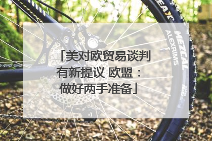美对欧贸易谈判有新提议 欧盟：做好两手准备