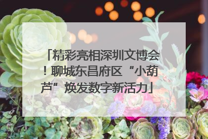 精彩亮相深圳文博会！聊城东昌府区“小葫芦”焕发数字新活力
