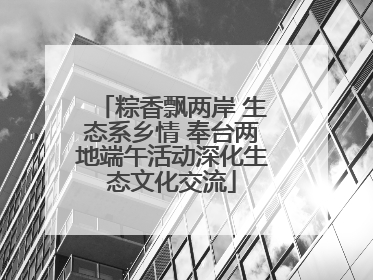 粽香飘两岸 生态系乡情 奉台两地端午活动深化生态文化交流