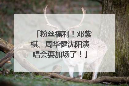 粉丝福利！邓紫棋、周华健沈阳演唱会要加场了！