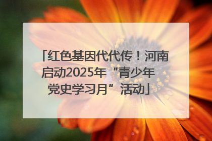红色基因代代传！河南启动2025年“青少年党史学习月”活动