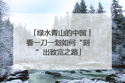绿水青山的中国丨看一刀一划如何“刻”出致富之路