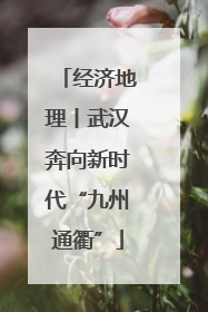 经济地理丨武汉奔向新时代“九州通衢”