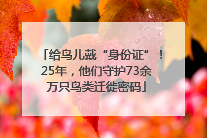 给鸟儿戴“身份证”！25年，他们守护73余万只鸟类迁徙密码