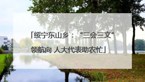 绥宁东山乡：“三会三文”领航向 人大代表助农忙