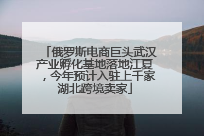 俄罗斯电商巨头武汉产业孵化基地落地江夏，今年预计入驻上千家湖北跨境卖家