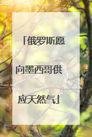 俄罗斯愿向墨西哥供应天然气