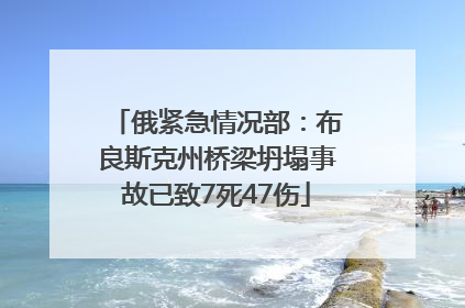 俄紧急情况部：布良斯克州桥梁坍塌事故已致7死47伤