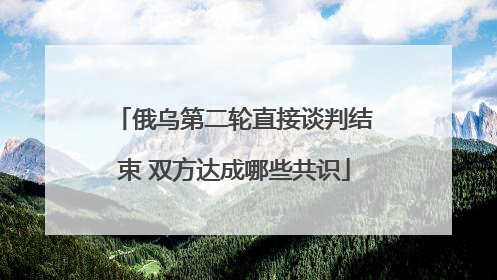俄乌第二轮直接谈判结束 双方达成哪些共识