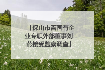 保山市管国有企业专职外部董事刘燕接受监察调查