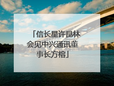 信长星许昆林会见中兴通讯董事长方榕