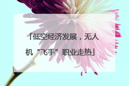 低空经济发展，无人机“飞手”职业走热