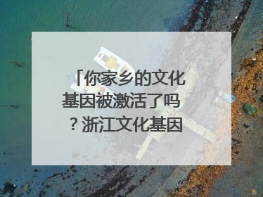 你家乡的文化基因被激活了吗？浙江文化基因图谱即将上线