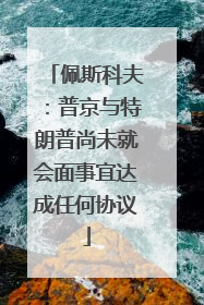 佩斯科夫：普京与特朗普尚未就会面事宜达成任何协议