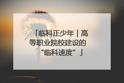临科正少年｜高等职业院校建设的“临科速度”