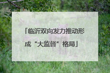 临沂双向发力推动形成“大监督”格局
