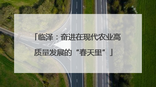 临泽：奋进在现代农业高质量发展的“春天里”