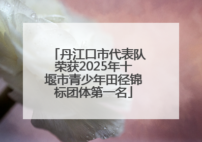 丹江口市代表队荣获2025年十堰市青少年田径锦标团体第一名