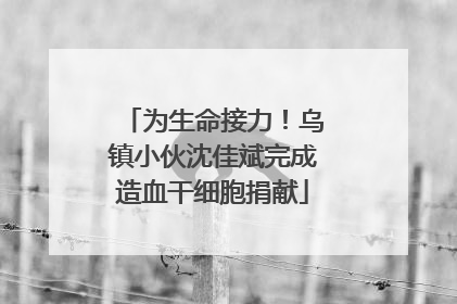 为生命接力！乌镇小伙沈佳斌完成造血干细胞捐献