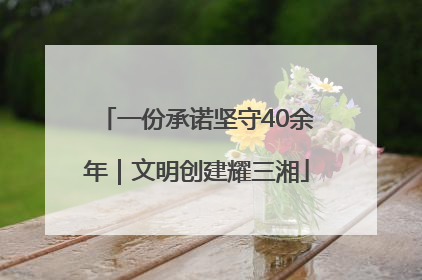 一份承诺坚守40余年｜文明创建耀三湘