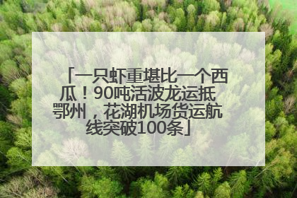 一只虾重堪比一个西瓜！90吨活波龙运抵鄂州，花湖机场货运航线突破100条