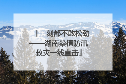 一刻都不敢松劲——湖南桑植防汛救灾一线直击