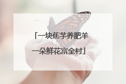 一块蕉芋养肥羊 一朵鲜花富全村