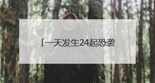 一天发生24起恐袭！中使馆：尽快转移
