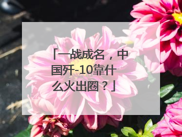 一战成名，中国歼-10靠什么火出圈？