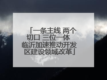 一条主线 两个切口 三位一体 临沂加速推动开发区建设领域改革