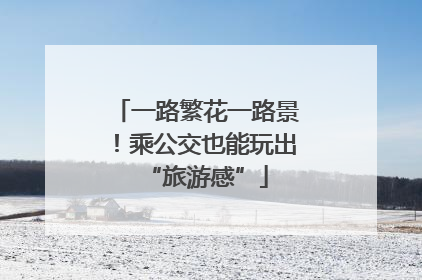 一路繁花一路景！乘公交也能玩出“旅游感”