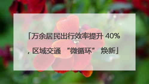 万余居民出行效率提升 40%，区域交通 “微循环” 焕新