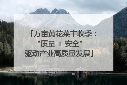 万亩黄花菜丰收季：“质量 + 安全” 驱动产业高质量发展