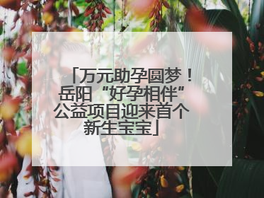 万元助孕圆梦！岳阳“好孕相伴”公益项目迎来首个新生宝宝