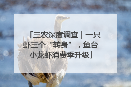 三农深度调查｜一只虾三个“转身”，鱼台小龙虾消费季升级