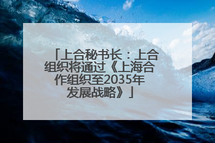 上合秘书长：上合组织将通过《上海合作组织至2035年发展战略》