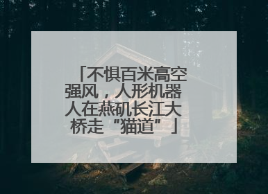 不惧百米高空强风，人形机器人在燕矶长江大桥走“猫道”