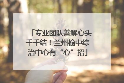 专业团队善解心头千千结！兰州榆中综治中心有“心”招