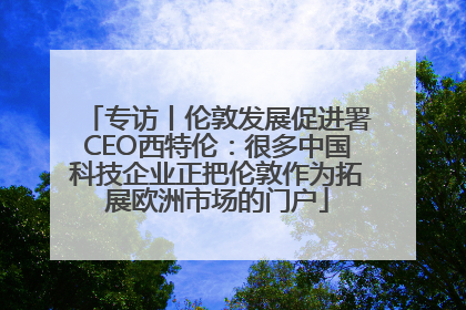 专访丨伦敦发展促进署CEO西特伦：很多中国科技企业正把伦敦作为拓展欧洲市场的门户