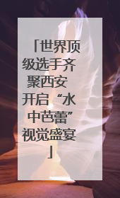 世界顶级选手齐聚西安 开启“水中芭蕾”视觉盛宴