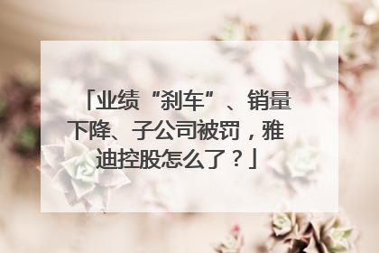业绩“刹车”、销量下降、子公司被罚，雅迪控股怎么了？