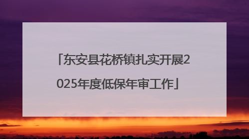 东安县花桥镇扎实开展2025年度低保年审工作